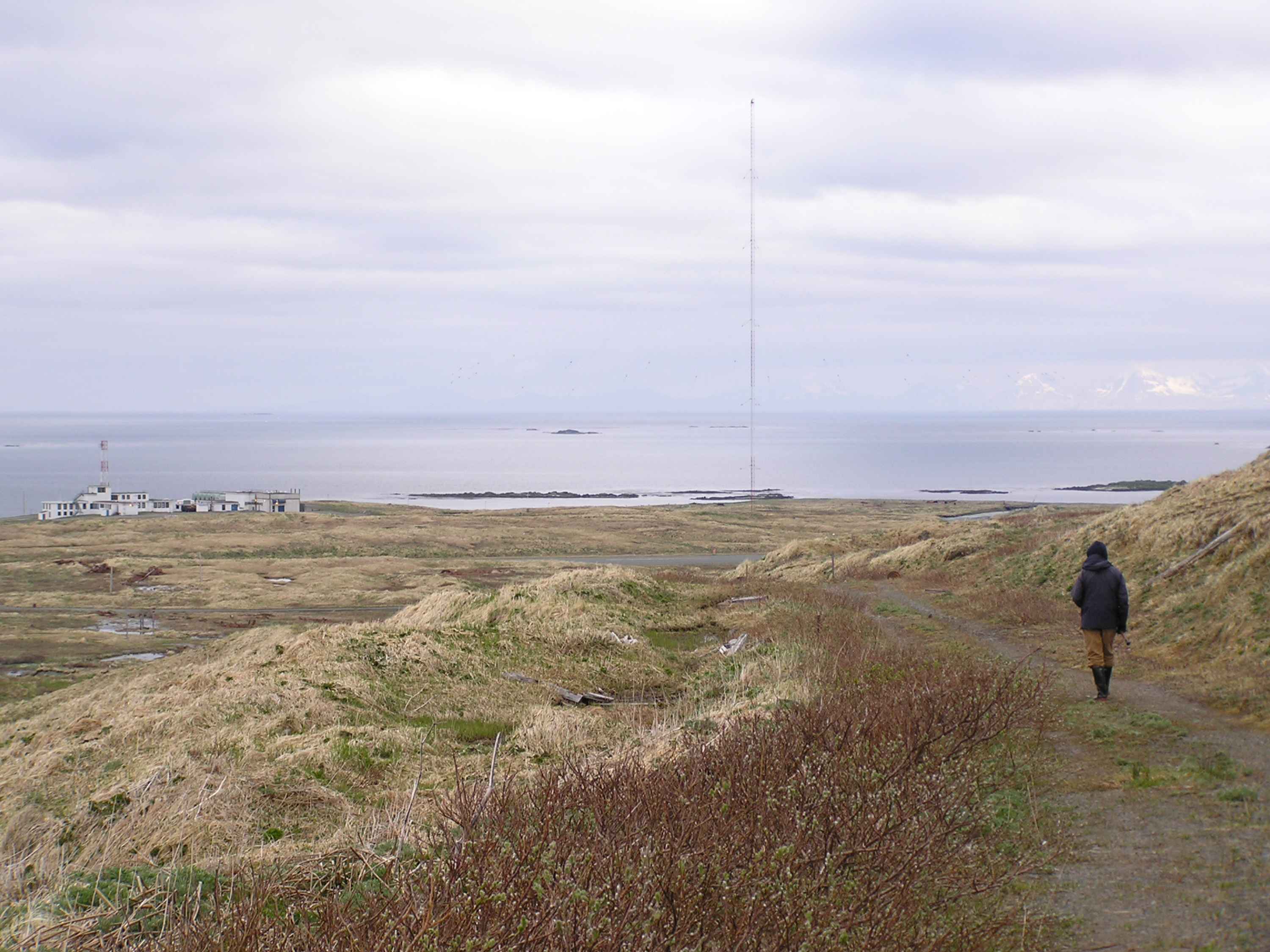 Person walking through the outdoors